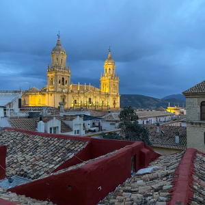 0d5wri83o6AayGVYazva