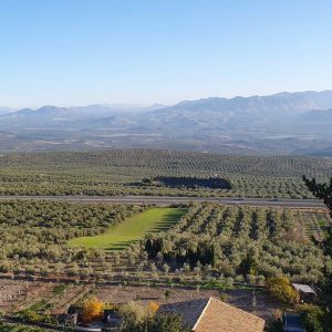 CFb9sHzCopujBtnPf06A