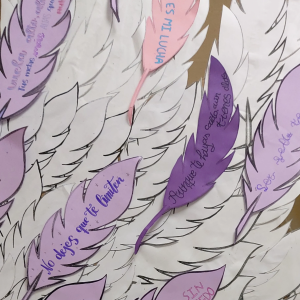 JHzrz6oXe1tZFcsy1zbR