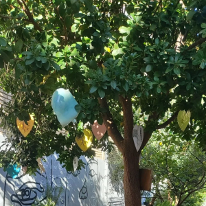 4XqEoQ5fJbaoAUdtj9DE